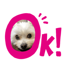 [LINEスタンプ] ふくくん2