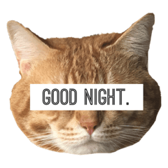 [LINEスタンプ] バジル君.1