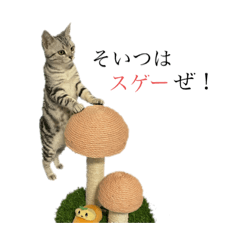 [LINEスタンプ] ちくわ生活①