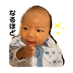 [LINEスタンプ] たいせー①改正版