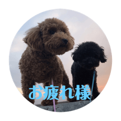 [LINEスタンプ] ココメル、時々レオ②