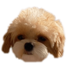 [LINEスタンプ] ぴのすたんぷ2