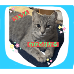 [LINEスタンプ] 想いを乗せて