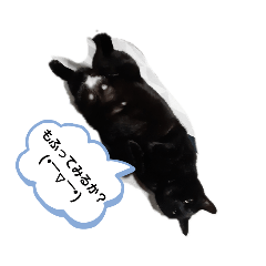 [LINEスタンプ] 黒猫ZiZiごろにゃんスタンプ第1段