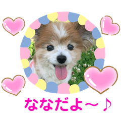 [LINEスタンプ] かわいいななちゃん♪