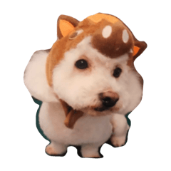 [LINEスタンプ] 南中でした