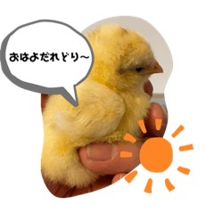 [LINEスタンプ] ほのぼのマッコリ日常