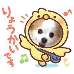 [LINEスタンプ] わちスタンプ✨