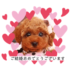 [LINEスタンプ] Cherie's stamp2