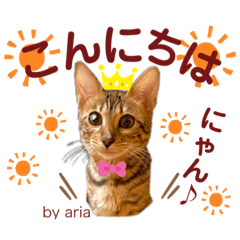 [LINEスタンプ] アリスタ3＊2021