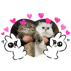 [LINEスタンプ] まろゆぽ