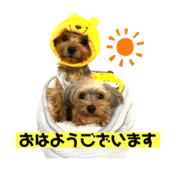 [LINEスタンプ] まるandつぶ③
