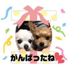 [LINEスタンプ] KATIE＆CLAIRE 3
