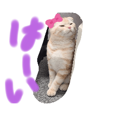 [LINEスタンプ] ぼくバニエ