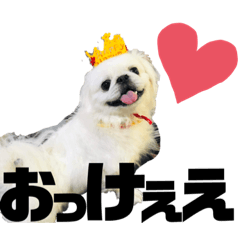 [LINEスタンプ] 4ペキLIFE.