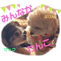 [LINEスタンプ] みんなかわんこの日常