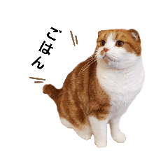 [LINEスタンプ] なおとぎゅう