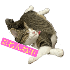 [LINEスタンプ] みおんちゃんの癒しスタンプ