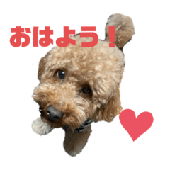 [LINEスタンプ] 日々のモコ