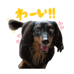 [LINEスタンプ] いけがみfamily
