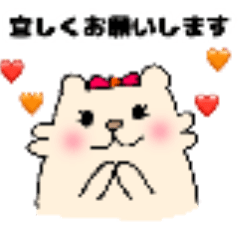 [LINEスタンプ] いつもの日のクマちゃんスタンプ