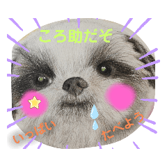 [LINEスタンプ] お友達ワンコ大集合1