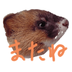 [LINEスタンプ] 真紀ラインスタンプ