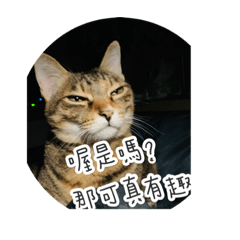[LINEスタンプ] Neko lulu6