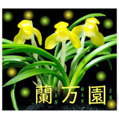 [LINEスタンプ] 春蘭スタンプ パート2