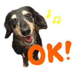 [LINEスタンプ] ちぇーさんのお通りだいっ！