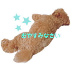 [LINEスタンプ] 僕、だっくんです