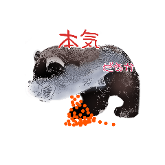 [LINEスタンプ] いかとシャケ