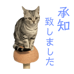 [LINEスタンプ] ちくわ生活②