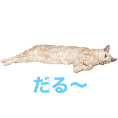 [LINEスタンプ] ごまぞースタンプ