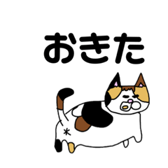 [LINEスタンプ] 三毛猫のみくちゃんスタンプ