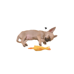 [LINEスタンプ] 愛心たくさん