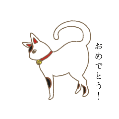 [LINEスタンプ] 遠慮な猫です。