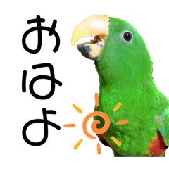 [LINEスタンプ] ハナオとハナコ