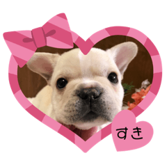 [LINEスタンプ] フレンチブルドック2(シェリールヴィジュ)