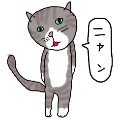 [LINEスタンプ] トラ猫のアニータ2