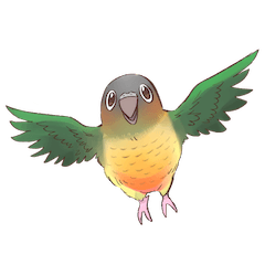 [LINEスタンプ] マイペースなウロコインコ