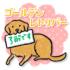 [LINEスタンプ] ゴールデンレトリバーのあいさつスタンプ