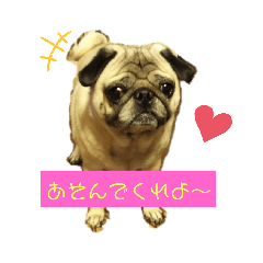 [LINEスタンプ] あぐくんの日常