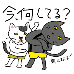 [LINEスタンプ] 兄弟猫のトノとロク 2 _今何してる？