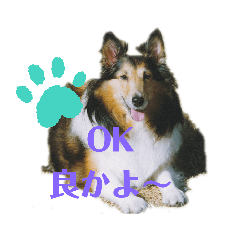 [LINEスタンプ] らりちゃん1