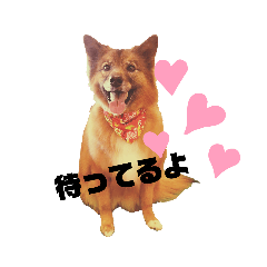 [LINEスタンプ] I’m なつき