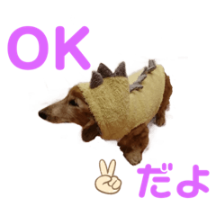 [LINEスタンプ] りく君＆かい君