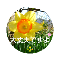 [LINEスタンプ] 毎日に優しさを♥️  (お花たち)
