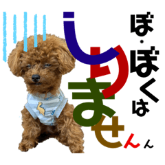 [LINEスタンプ] ぼく カイ君 3