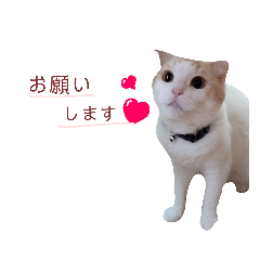 [LINEスタンプ] いくとろ日和